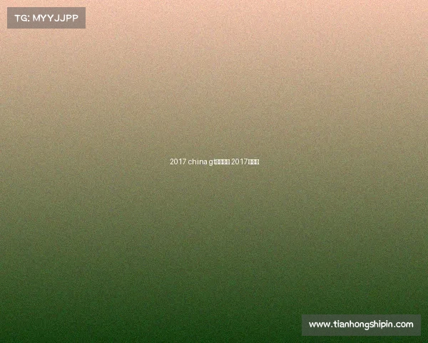 2017 china gt赛事决赛 2017年赛事