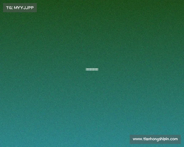 世界女排赛事安排