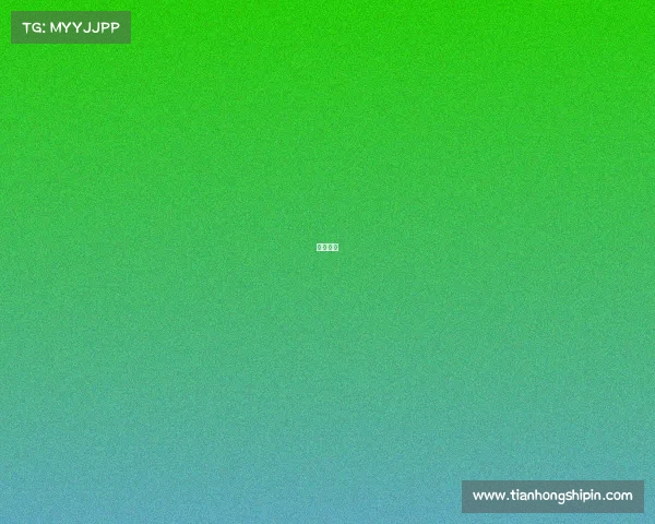 同质竞赛 同质竞赛